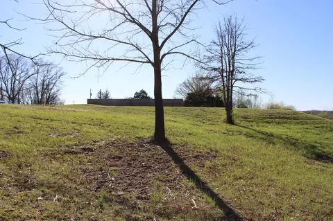 Tract B-2 County Road 449, Fulton, MO 65251 photo 10