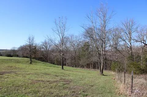 Tract B-2 County Road 449, Fulton, MO 65251 photo 7
