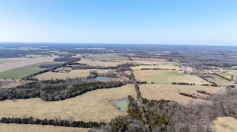 tbd 53 Acres County Rd 362, Auxvasse, MO 65063 photo 5