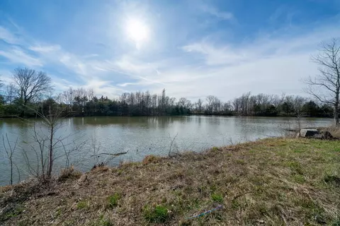 tbd 53 Acres County Rd 362, Auxvasse, MO 65063 photo 12