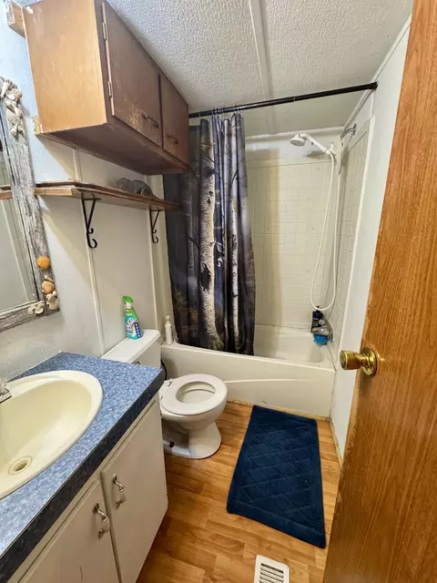 Bath - 100 Burton St, Higbee, MO 65257 photo 3 of 5