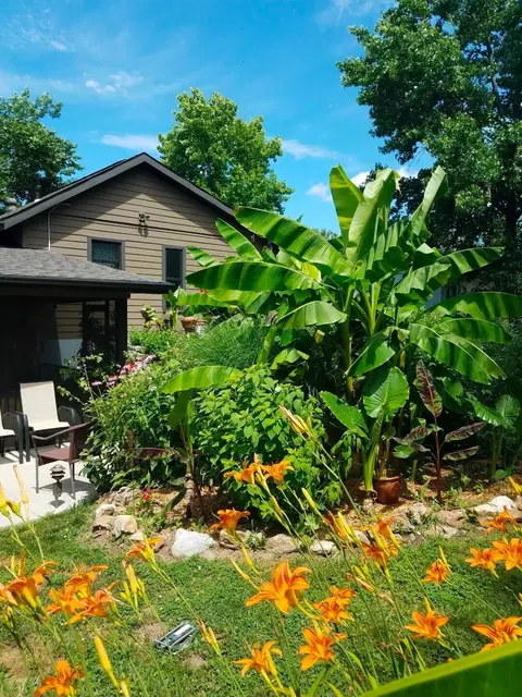 1414 Pickford Pl, Columbia, MO 65203