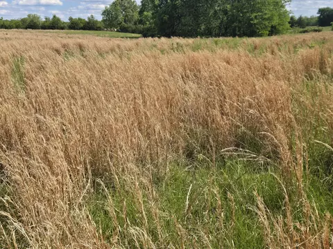 tbd Co Rd 353, Fulton, MO 65251 photo 19