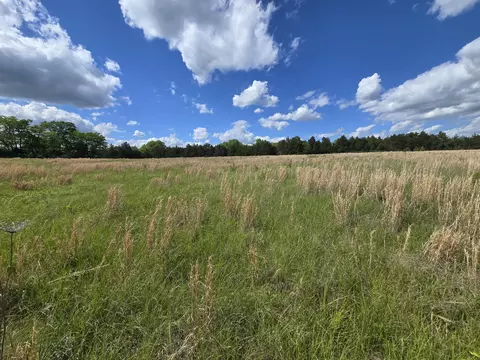 tbd Co Rd 353, Fulton, MO 65251 photo 8