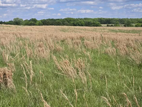 tbd Co Rd 353, Fulton, MO 65251 photo 16