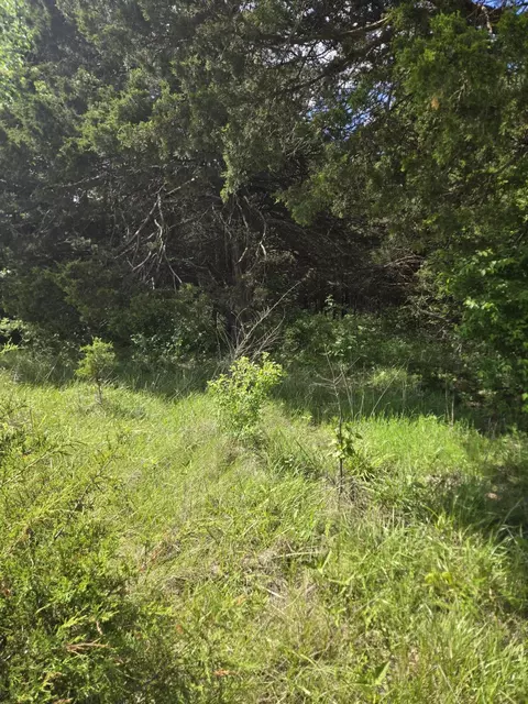 tbd Co Rd 353, Fulton, MO 65251 photo 6