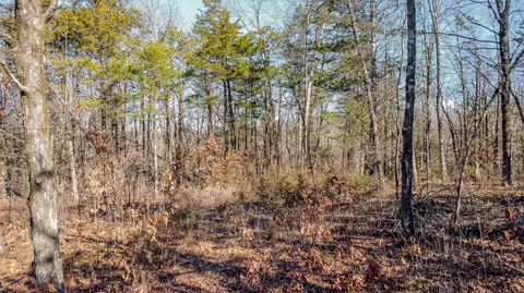 Tract 2 County Road 449, Steedman, MO 65077 photo 15
