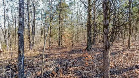 Tract 2 County Road 449, Steedman, MO 65077 photo 16