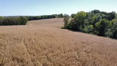 Ferry Rd, Boonville, MO 65233 photo 23