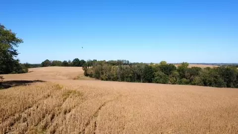 Ferry Rd, Boonville, MO 65233 photo 9