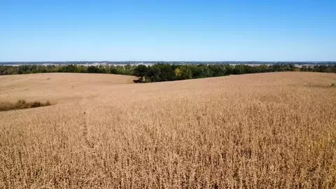 Ferry Rd, Boonville, MO 65233 photo 17