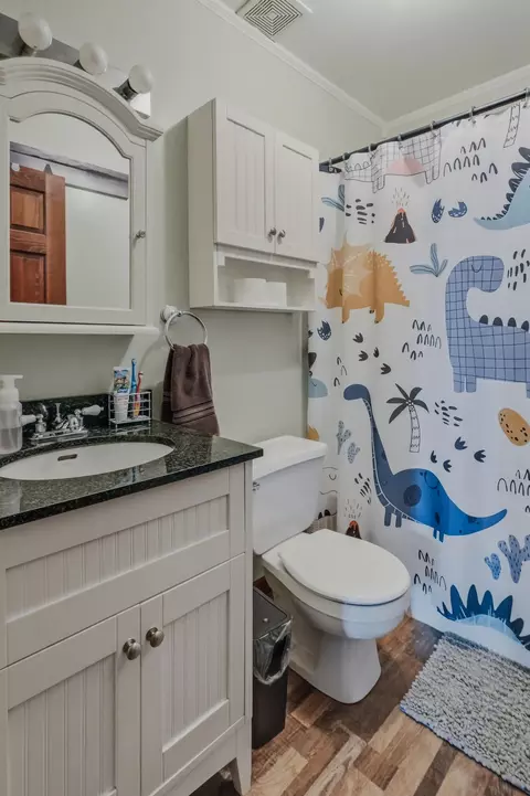 Bath - 5542 Maple Leaf Dr, Fulton, MO 65251 photo 2 of 3