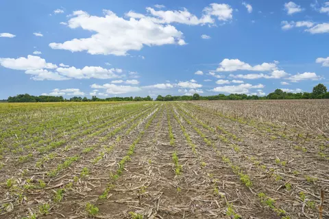 000 County Road 836, Mexico, MO 65265 photo 9