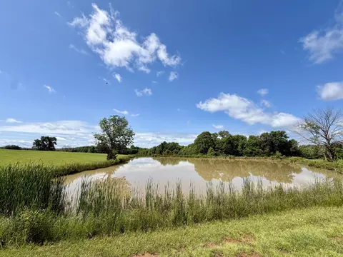 View/Area - 600 E Canole Rd, Sturgeon, MO 65284 photo 1 of 1
