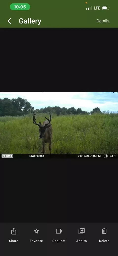 11032 Us 24, Madison, MO 65263 photo 10