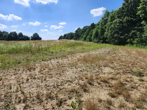 11032 Us 24, Madison, MO 65263 photo 8