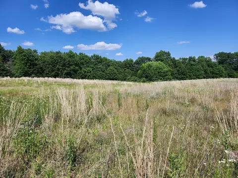 11032 Us 24, Madison, MO 65263