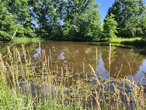 11032 Us 24, Madison, MO 65263 photo 2