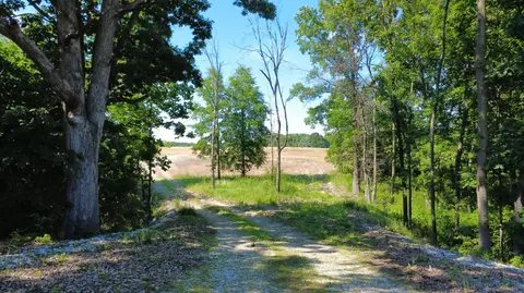 11032 Us 24, Madison, MO 65263 photo 3
