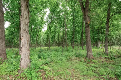 17 Halyon Ests, Perry, MO 63462 photo 4