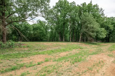 17 Halyon Ests, Perry, MO 63462 photo 3