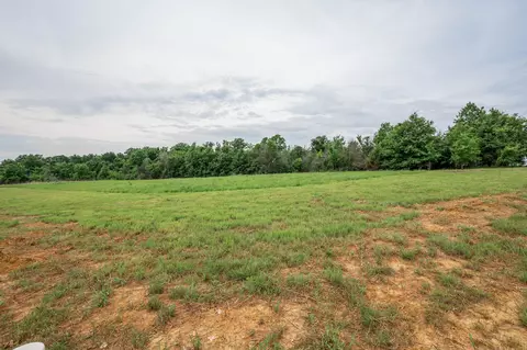 23 Halyon Ests, Perry, MO 63462 photo 10
