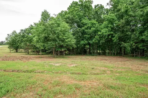 25 Halyon Ests, Perry, MO 63462 photo 8