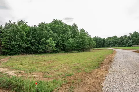 25 Halyon Ests, Perry, MO 63462 photo 7