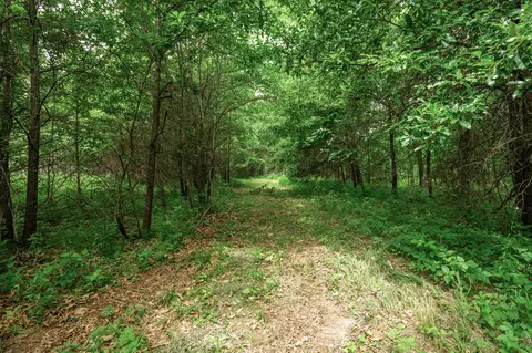 27 Halyon Ests, Perry, MO 63462 photo 8
