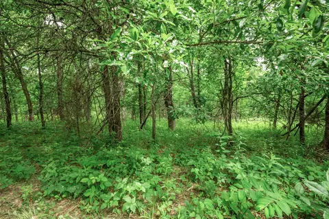 27 Halyon Ests, Perry, MO 63462 photo 9