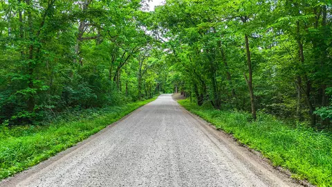00000 Mclane-dailing Rd, Centralia, MO 65240 photo 15