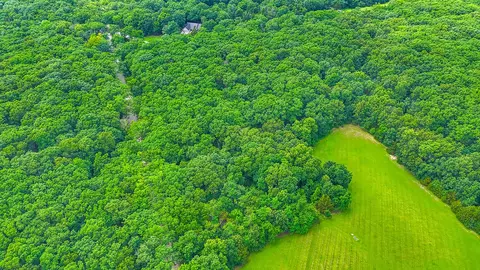 00000 Mclane-dailing Rd, Centralia, MO 65240 photo 14