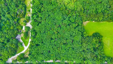 00000 Mclane-dailing Rd, Centralia, MO 65240 photo 2
