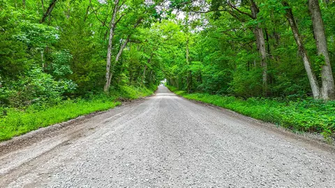 00000 Mclane-dailing Rd, Centralia, MO 65240 photo 16