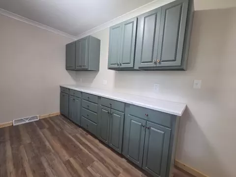 780 Doty Ave, Centralia, MO 65240 photo 5