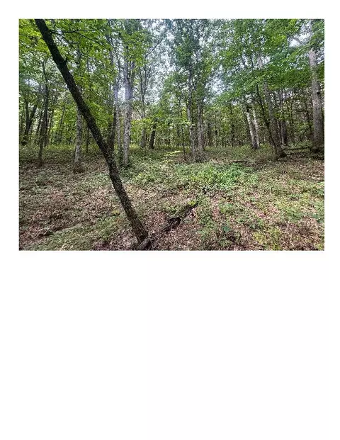 tbd S Hagans Rd, Ashland, MO 65010 photo 8