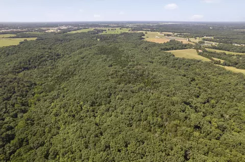 tbd S Hagans Rd, Ashland, MO 65010 photo 2