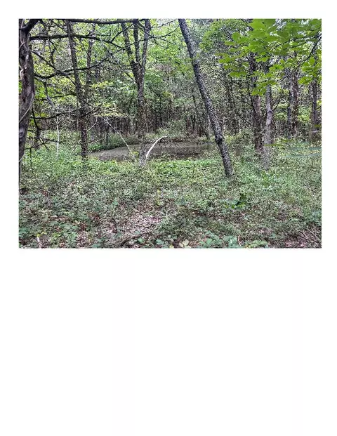 tbd S Hagans Rd, Ashland, MO 65010 photo 4