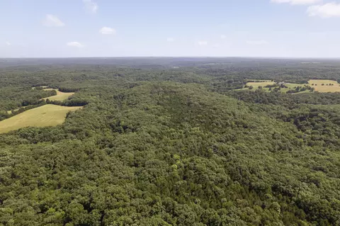 tbd S Hagans Rd, Ashland, MO 65010 photo 6