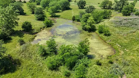 County Road 2405, Armstrong, MO 65230 photo 5