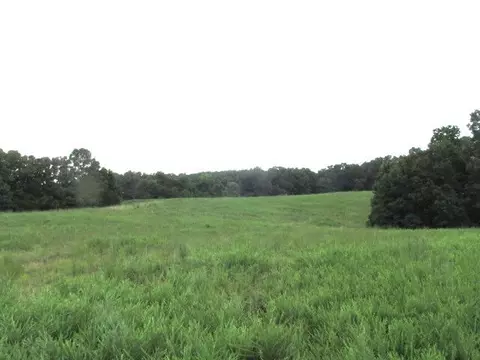 S Bob Veach Rd, Ashland, MO 65010 photo 34