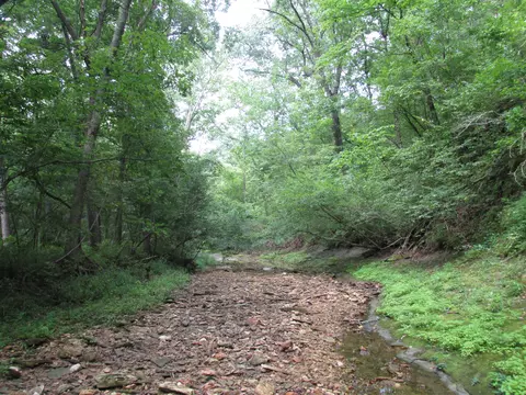 S Bob Veach Rd, Ashland, MO 65010 photo 25