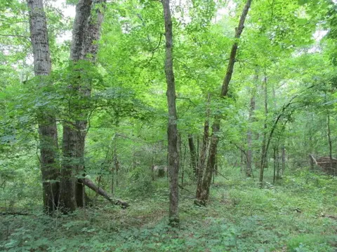 S Bob Veach Rd, Ashland, MO 65010 photo 9