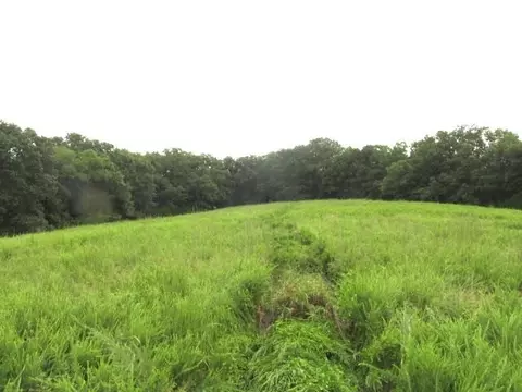 S Bob Veach Rd, Ashland, MO 65010 photo 33