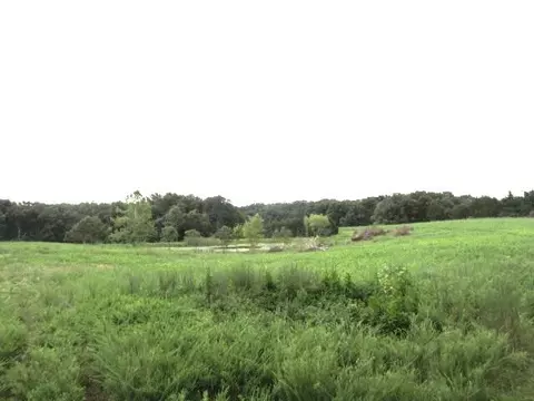 S Bob Veach Rd, Ashland, MO 65010 photo 2