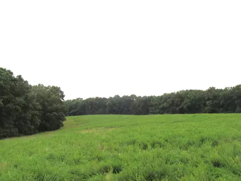 S Bob Veach Rd, Ashland, MO 65010 photo 31