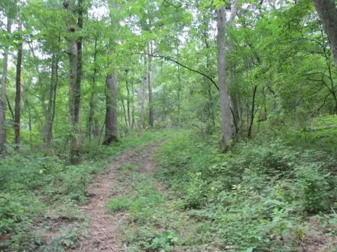 S Bob Veach Rd, Ashland, MO 65010 photo 10