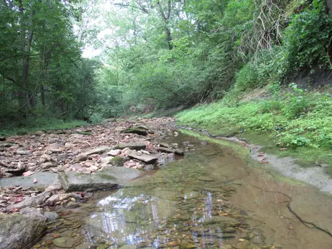 S Bob Veach Rd, Ashland, MO 65010 photo 3