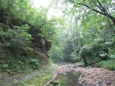 S Bob Veach Rd, Ashland, MO 65010 photo 24