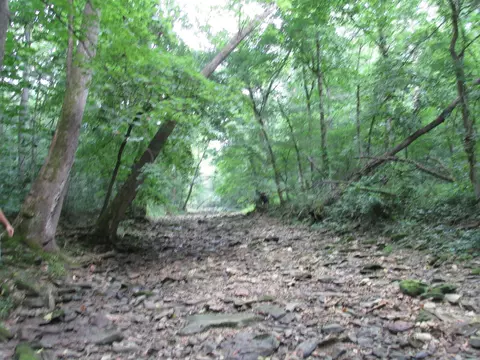 S Bob Veach Rd, Ashland, MO 65010 photo 11